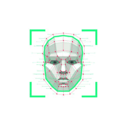 Facial Recognition Icon